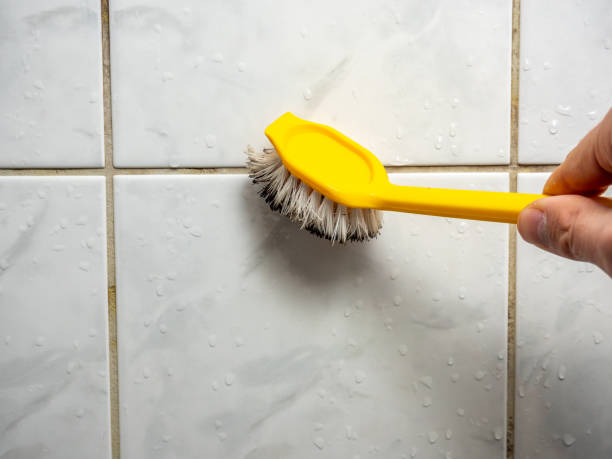 Best Professional Mold Removal  in Nes, IL