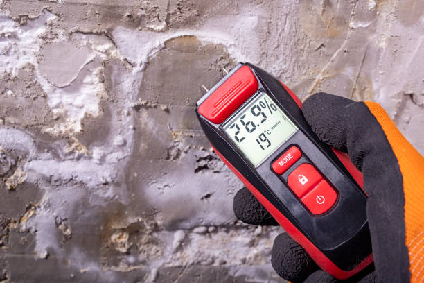 Best Crawl Space Mold Removal  in Nes, IL