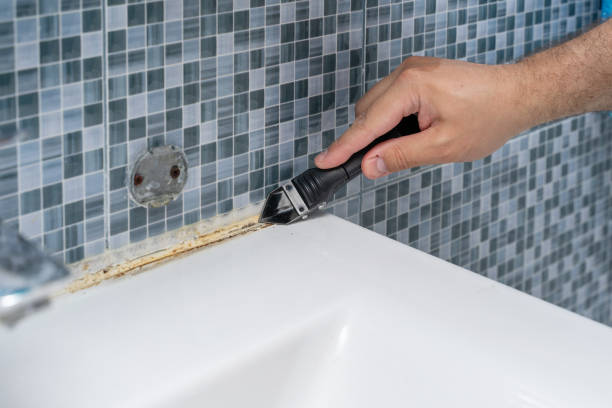 Best Mold Damage Repair  in Nes, IL